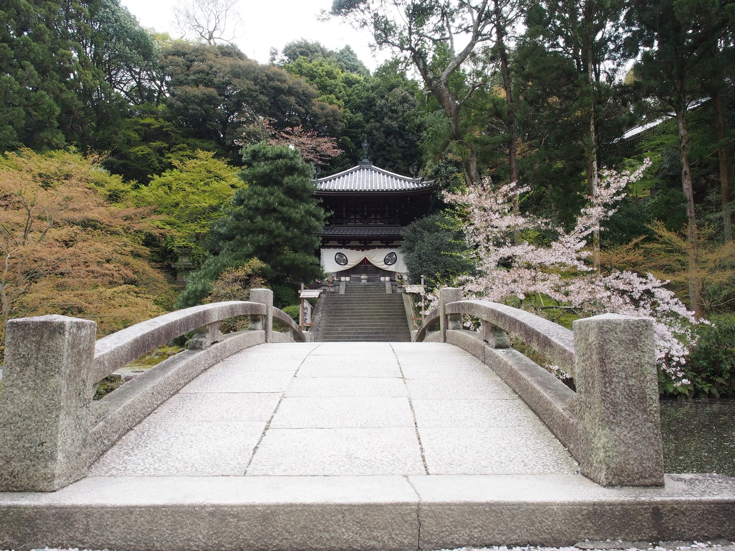 P4090226.JPG