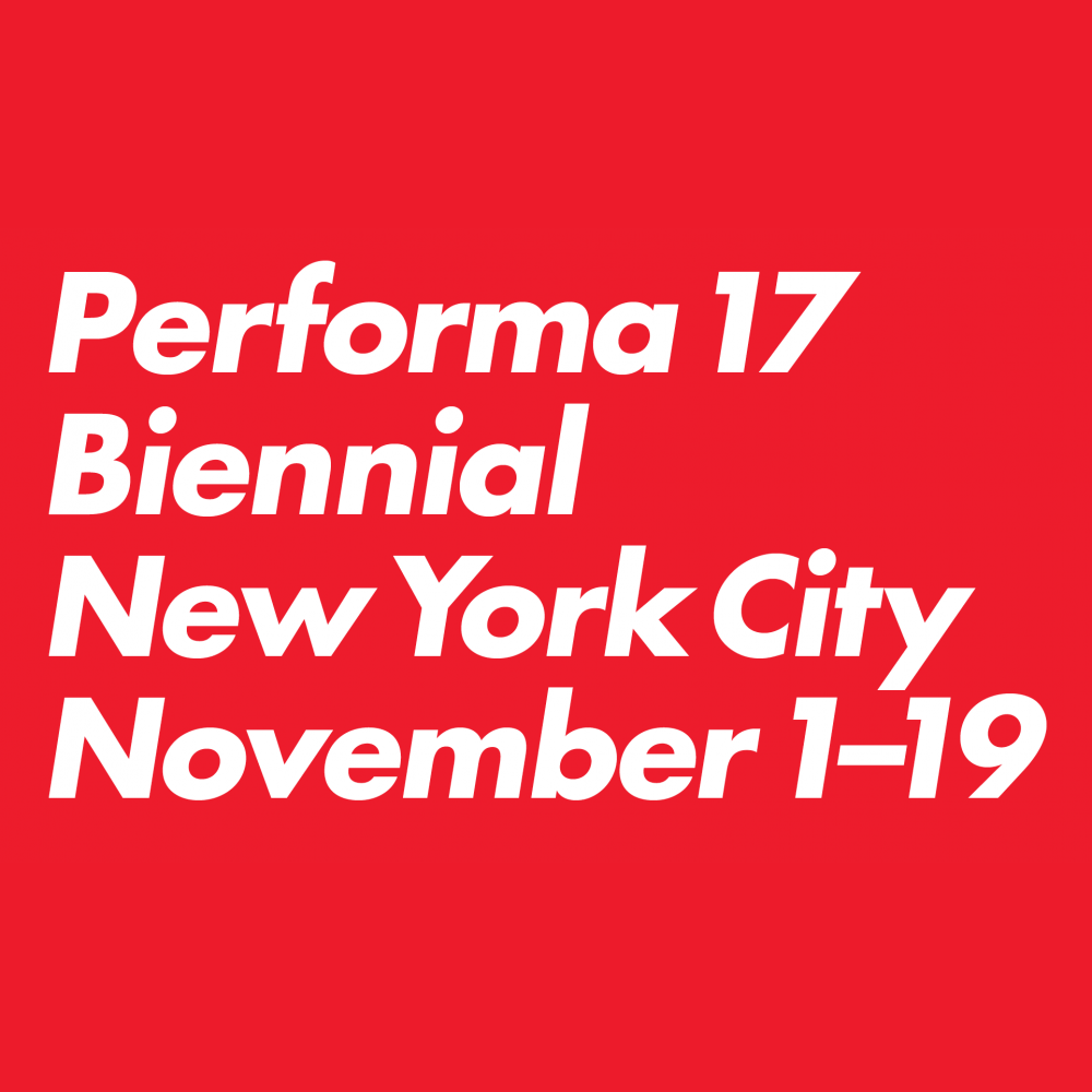 The Nest Collective at Performa 17 (and a new short film by us!)