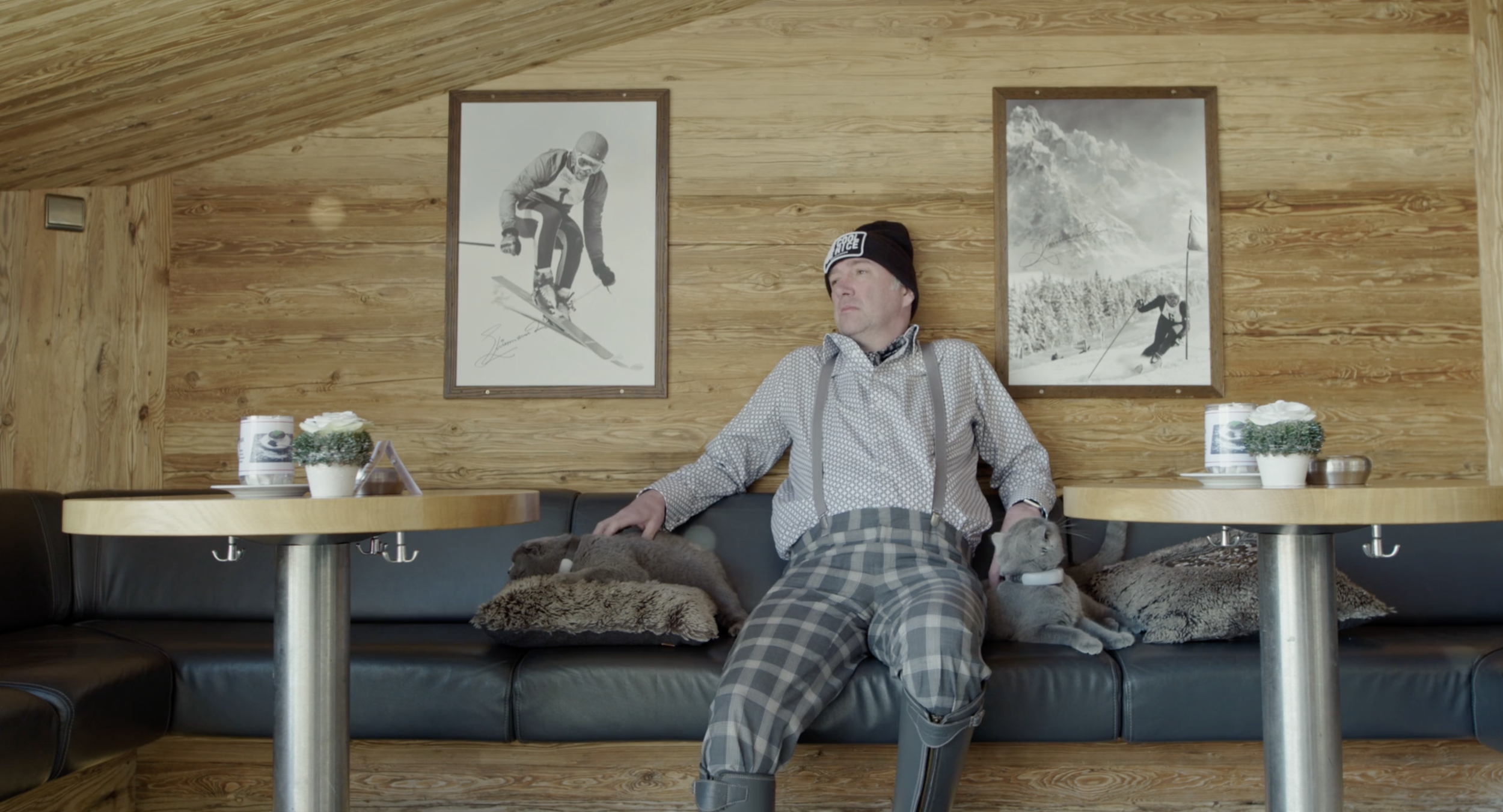 Nachts sind alle Katzen grau