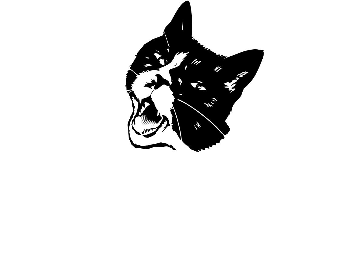 Kurzfilmnacht