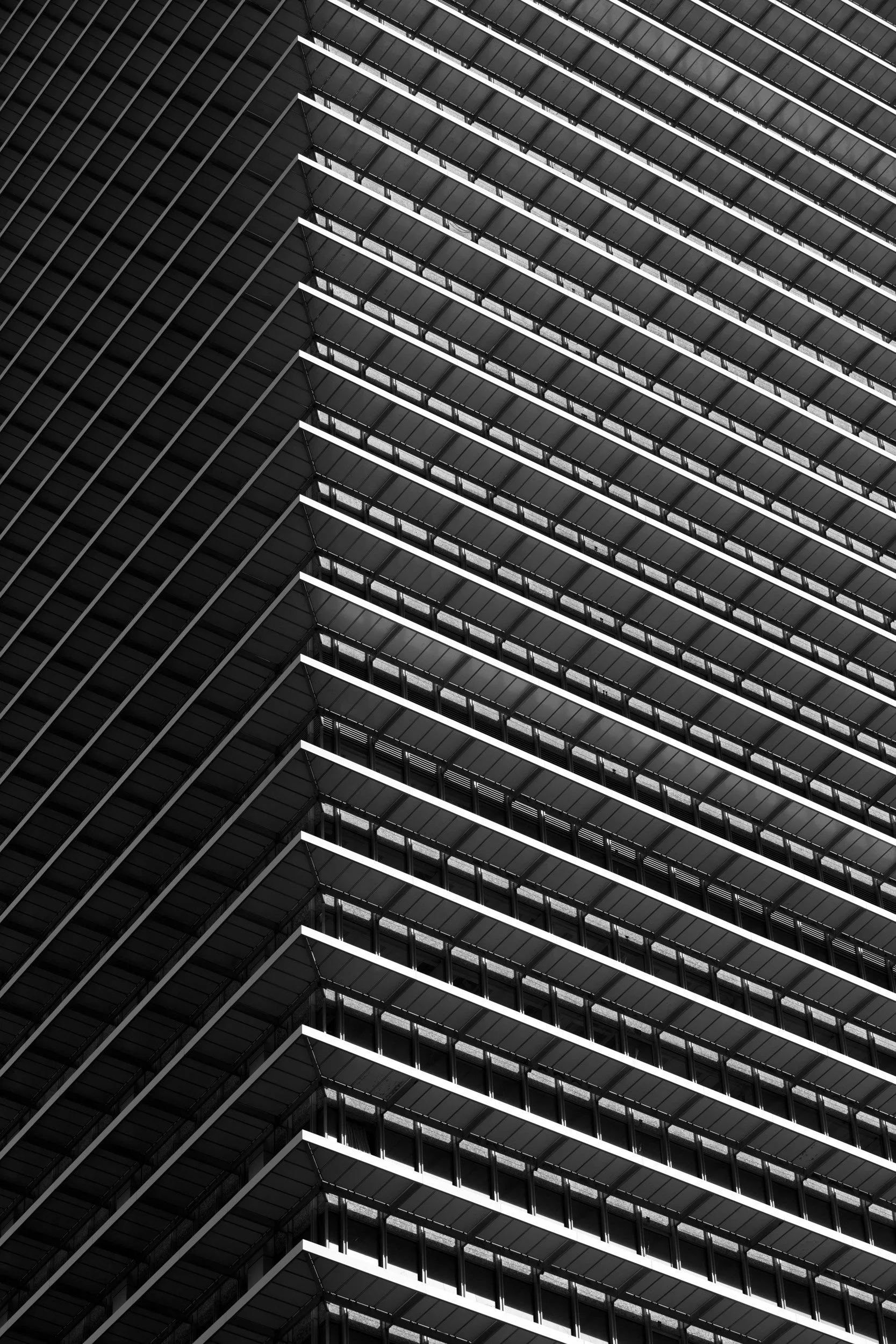 _Y7A1233-Edit.jpg