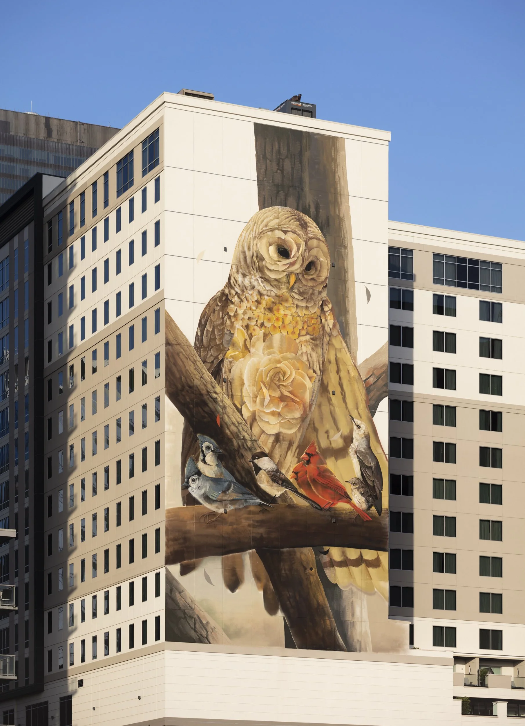 Owl 8.jpg