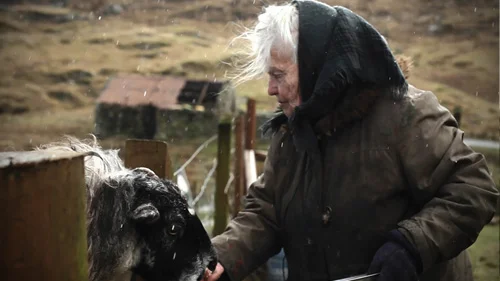Cailleach