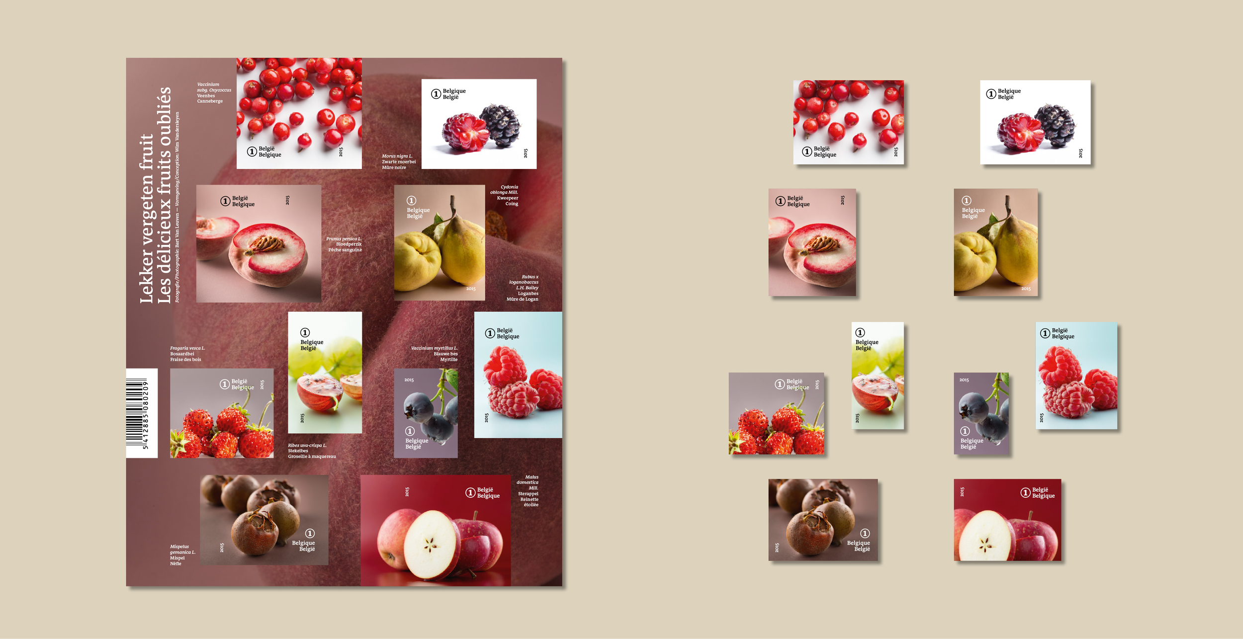 Pure magazine — Fashion magazine B2B