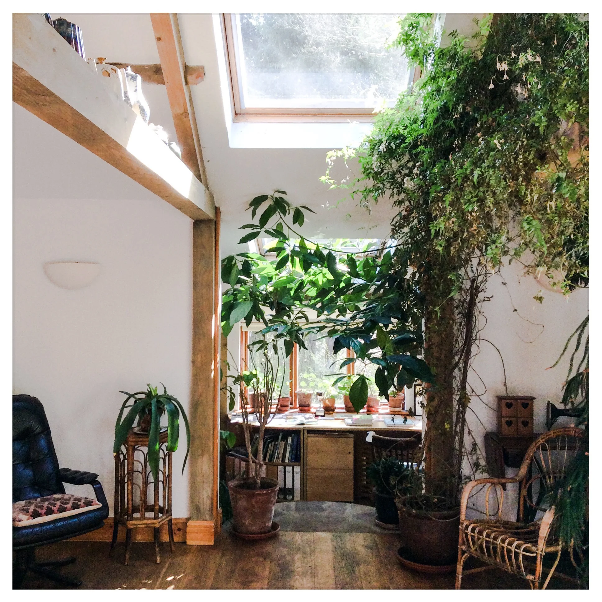 The Garden Room at Nant y Bedd. Full of Jasmine, this is the venue for the June Workshop.