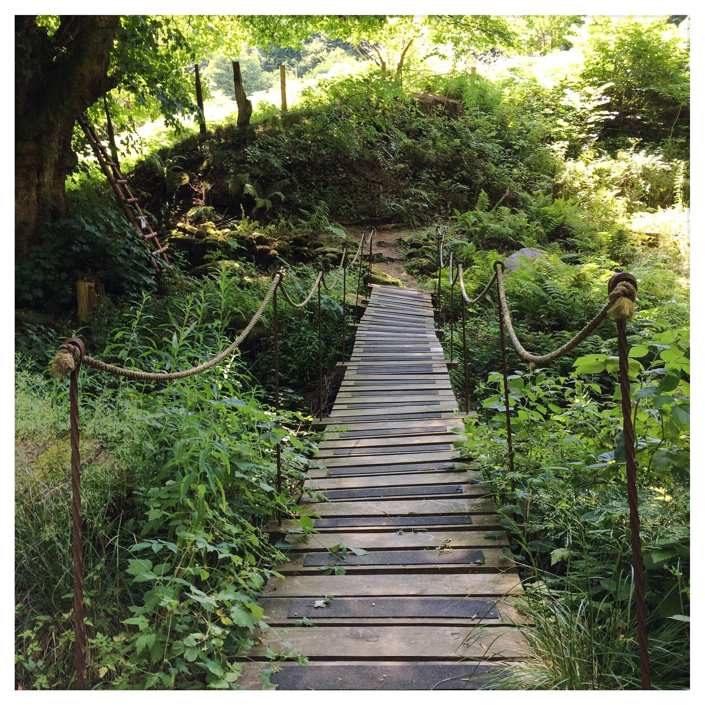 Inviting pathways at Nant y Bedd.