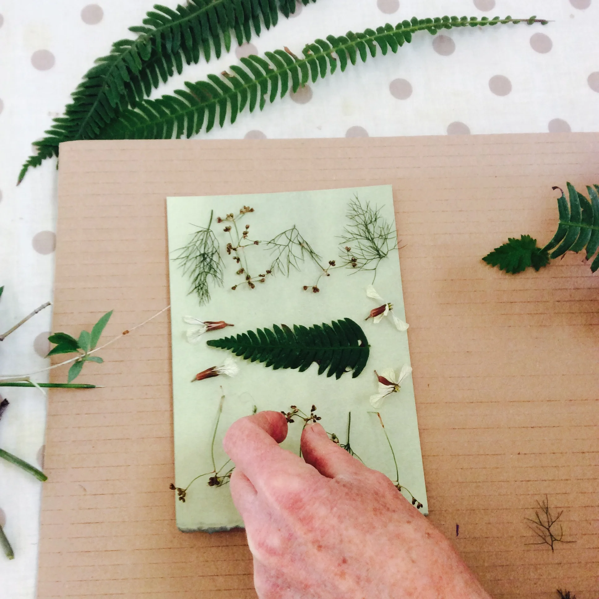 Careful compositions before final exposure of the print.