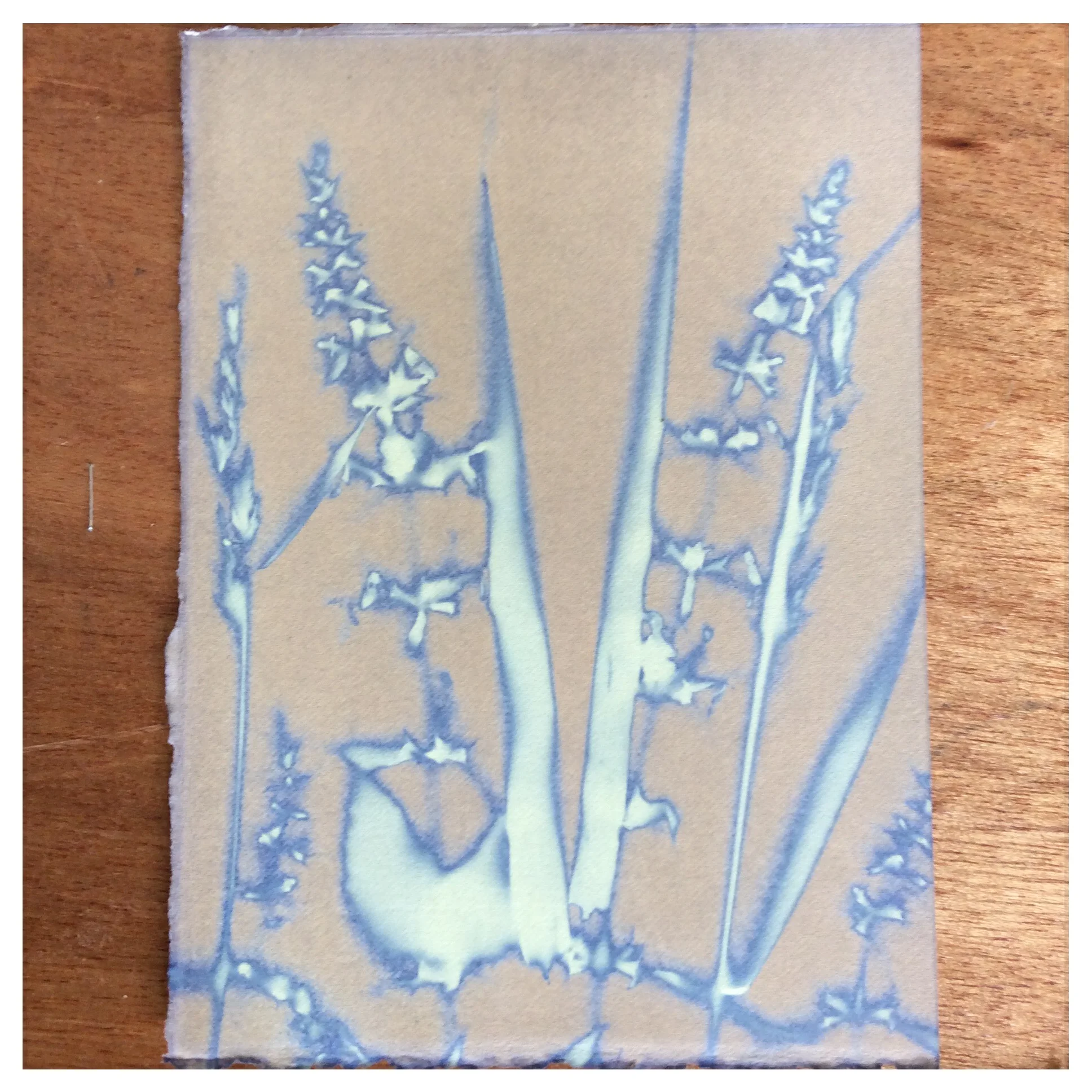 Delicate, Victorian influenced Blueprint, just prior to washing. Student work from Humble by Nature, July.