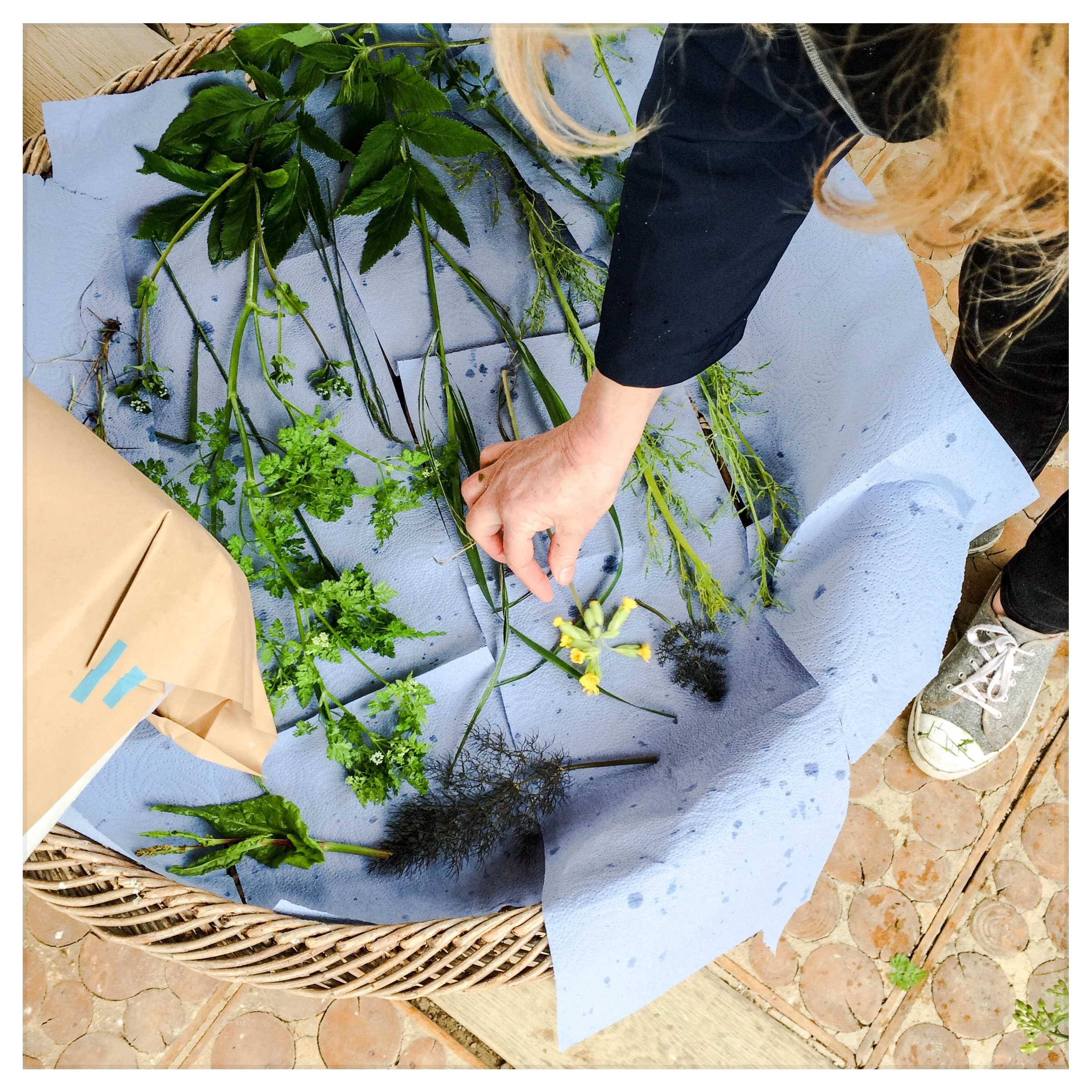 Drying rainswept herbs at the May workshop at Daylesford.