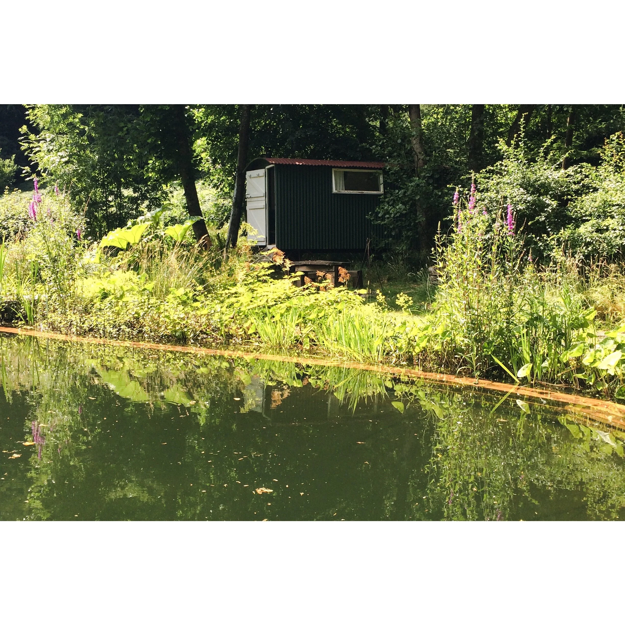 Swimming Pond and Shepard Hut at the Garden.