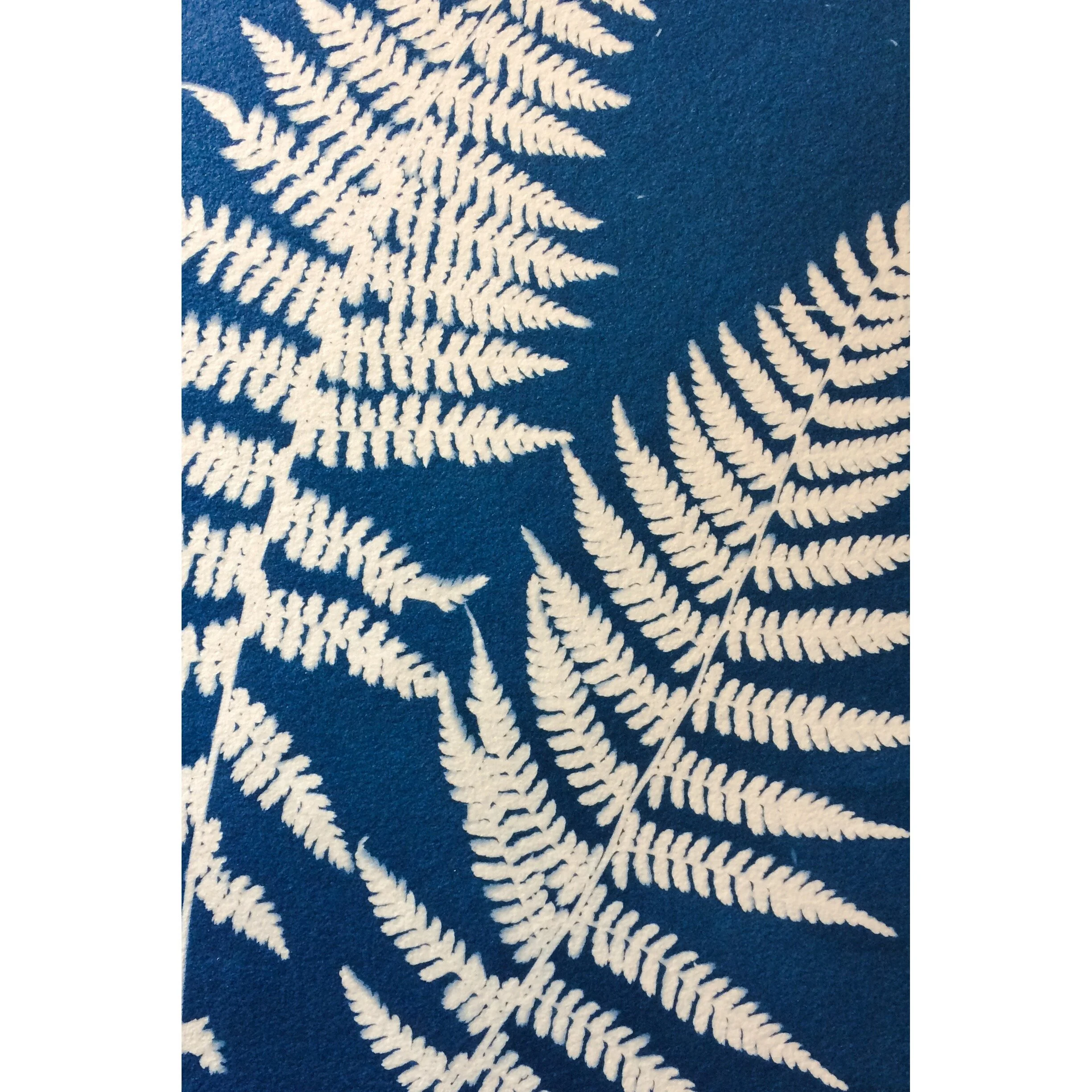Work produced by students at the Workshop run in June 2019.