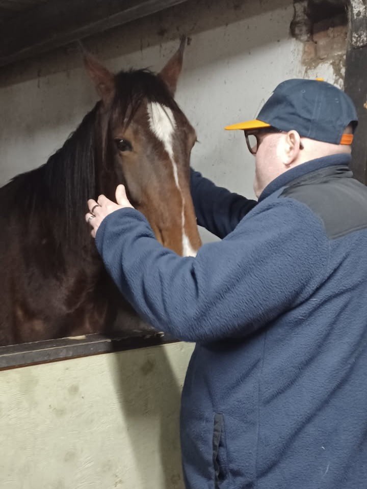 Happy friday! H&auml;r kommer en fredagsh&auml;lsning till er alla fr&aring;n M och en av hans favoriter Sten. 🐴  Tack M f&ouml;r de fina bilderna! 😃
#samspel #djurmys