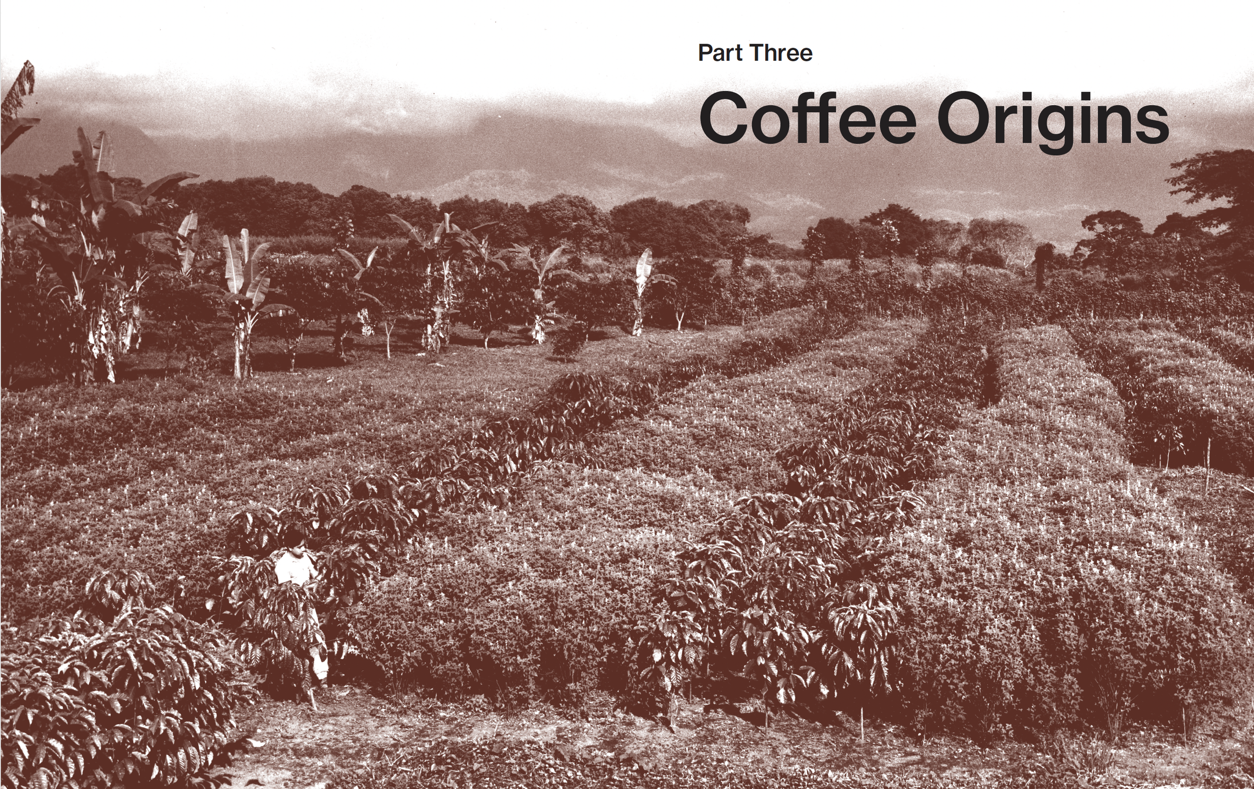 CleanShot 2025-09-02 at 14.50.55@2x.png