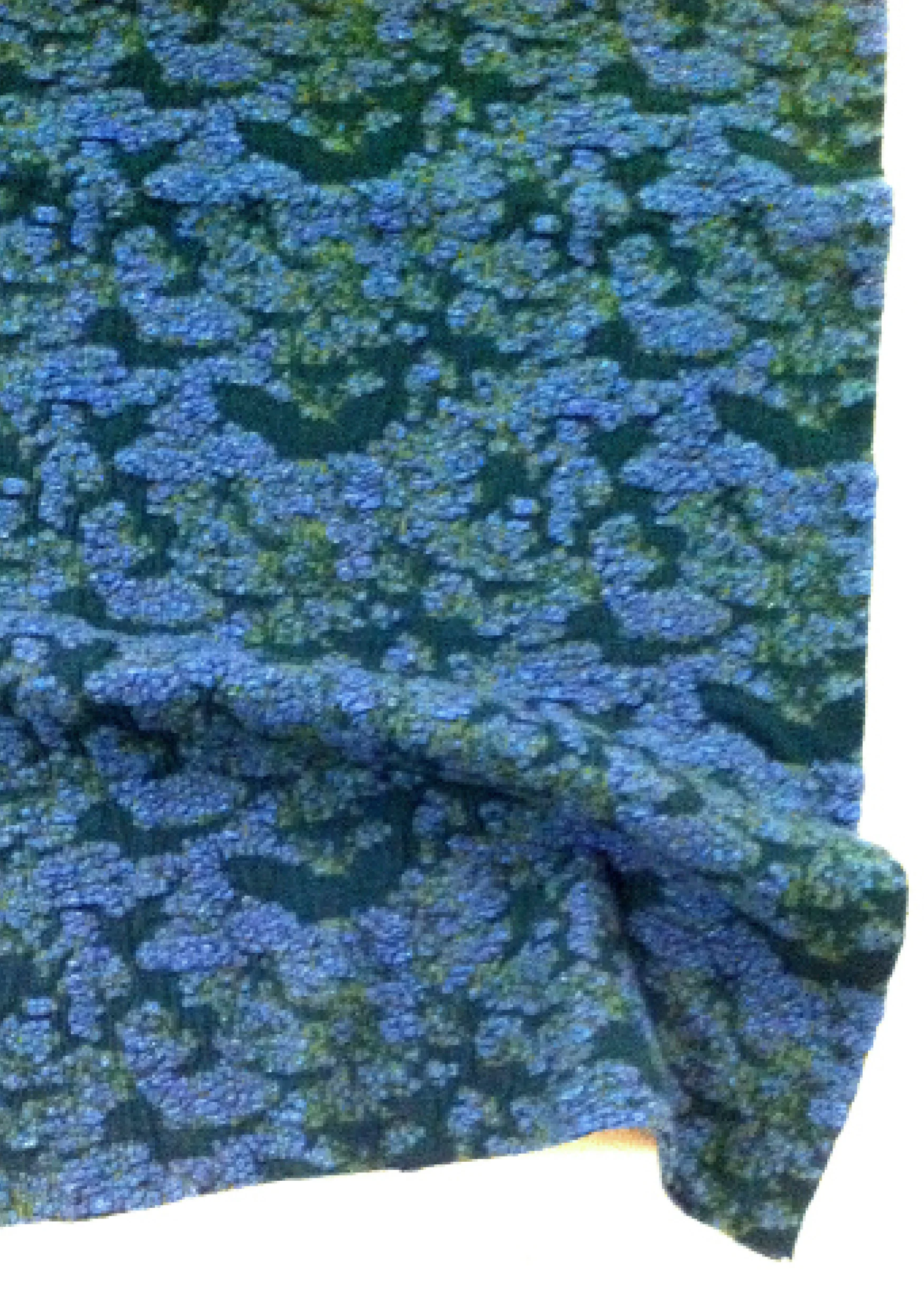 "Alge" blanket - 2009