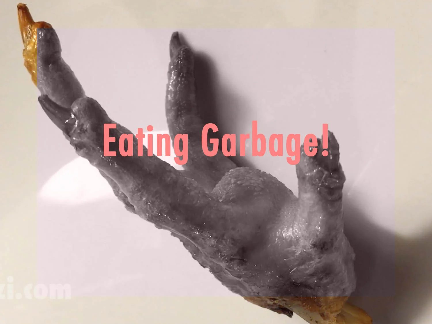 Strange things to put in your mouth