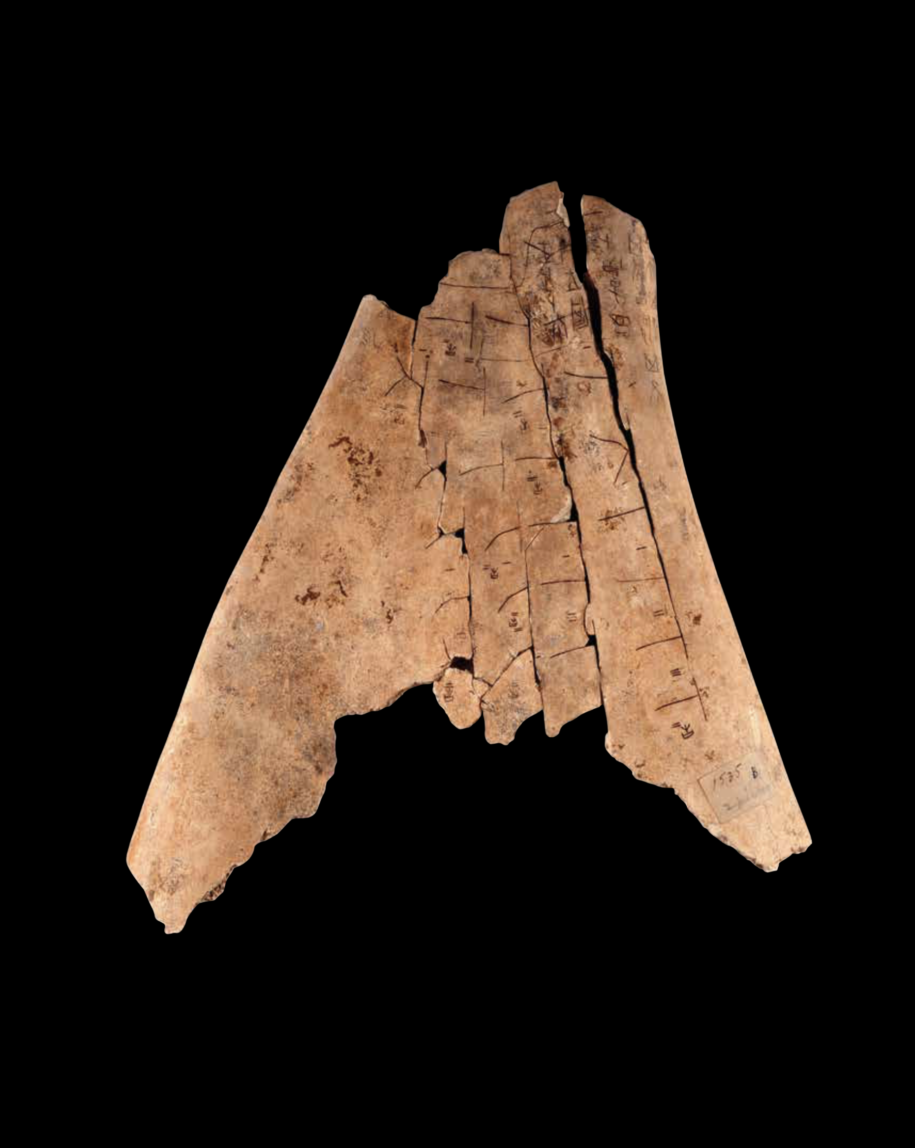 The Origins Of Writing