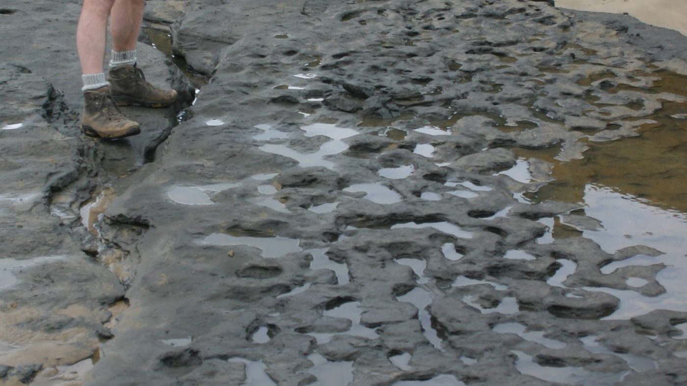 These footprints at Happisburgh in Norfolk are over 500,000 years old.