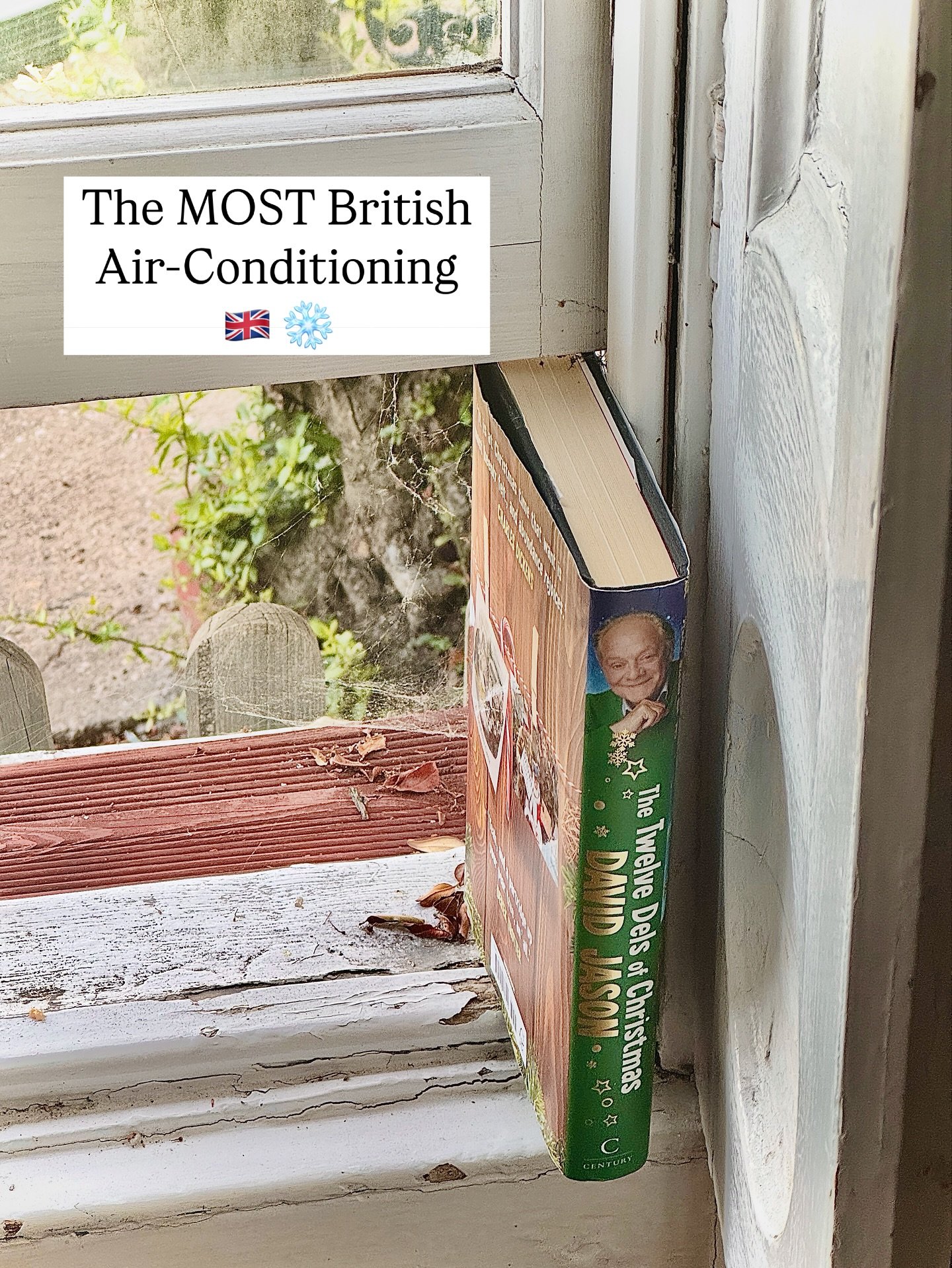 Spotted at my gig last night&hellip; #Davidjason #delboy #heateave #windowtreatment #funny