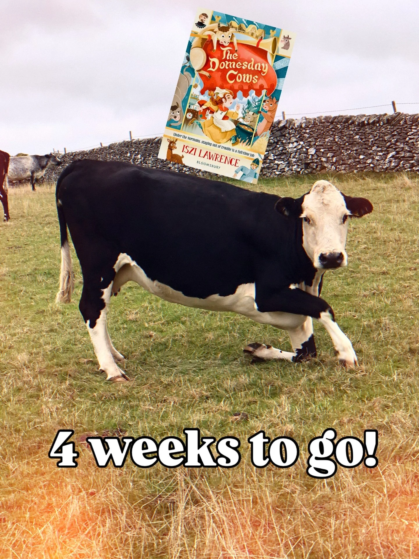 What do kids like more than cows? That&rsquo;s right: medieval surveys! If you want a fun #historical #novel featuring REAL #Normans REAL #castles and mostly fictional #cattle&hellip; this is the perfect book for you. For ages 9-12 (same as #harrypot