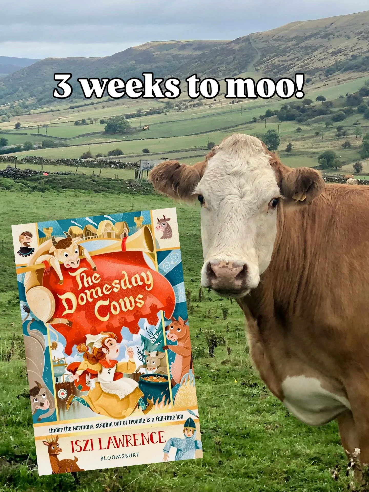 Preorder now! The Domesday Cows 🐄 - a perfect mix of #anglosaxon #angst, #domesdaybook #farce and cowpat #adventure! #medieval #historicalfiction with REAL #welshhistory #normans and #places. 

What was life like before the chimney was invented? Can