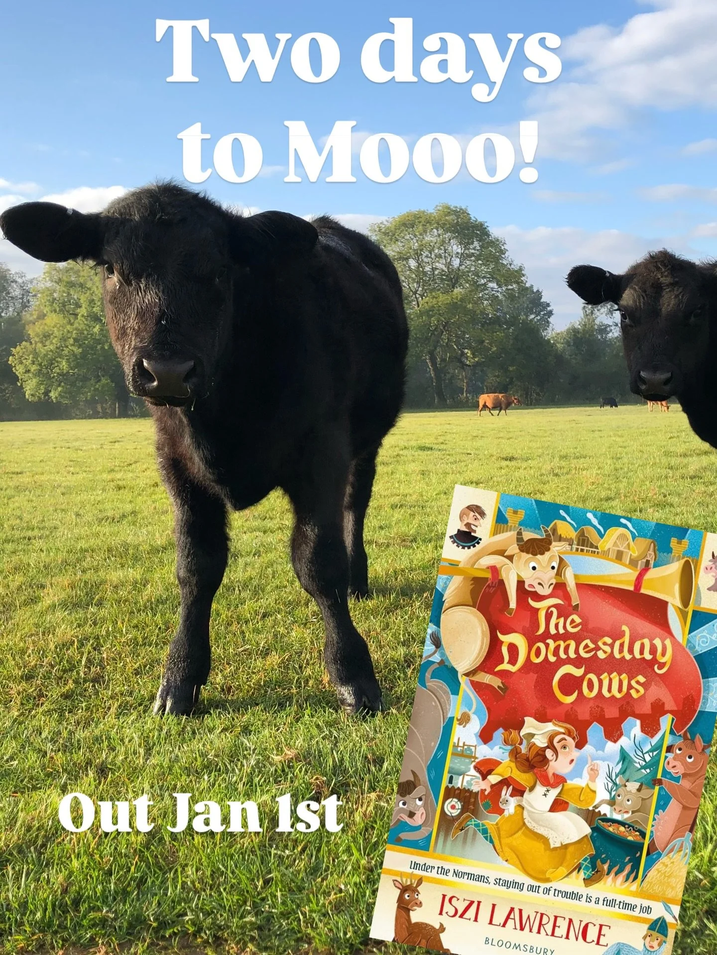 My next #historicalfiction novel for 9-12 year olds: The Domesday Cows is out on Thursday! Perfect way to start your New Year with Real Historical Figures and real #medieval problems&hellip; like where to hide the cows, how to free a prisoner from #c
