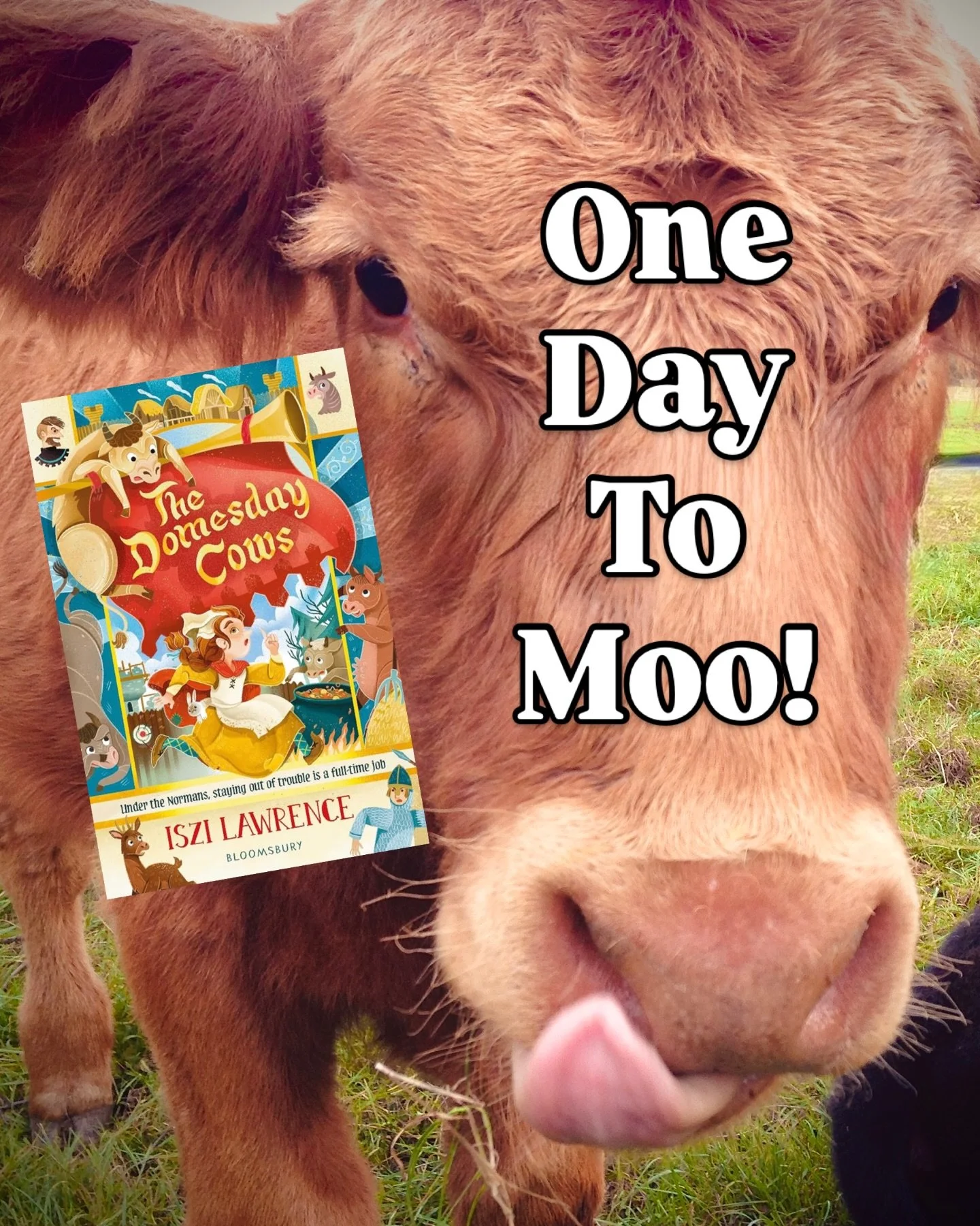 The domesday cows is out tomorrow. Will Nora be able to stop her sister from marrying a horrible Norman by hiding the cows&hellip; and once she&rsquo;s hidden them will she get them back? Find out pick up your copy TOMORROW!!! Eeep! 

#historicallyac