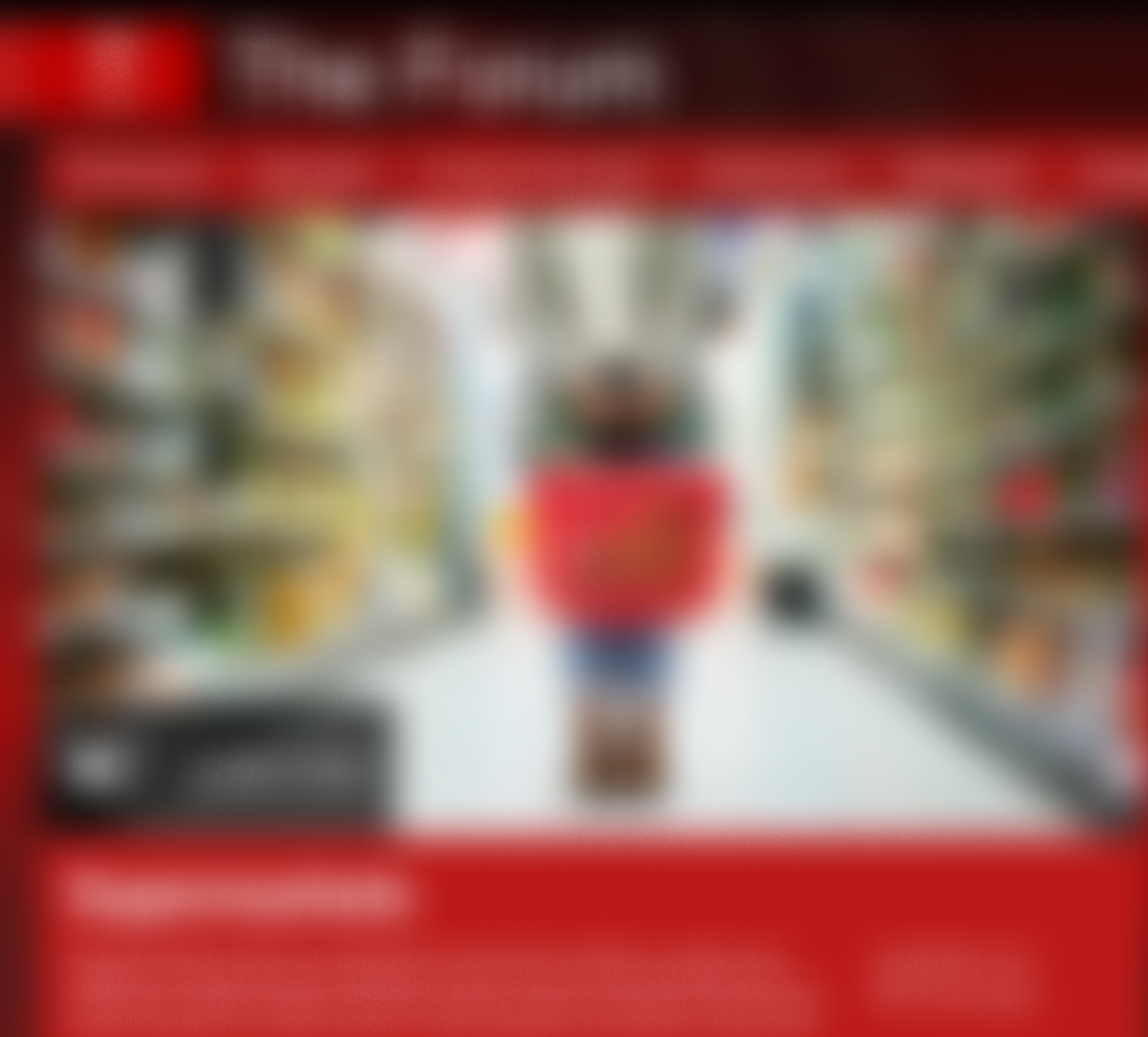 The Forum - Supermarkets