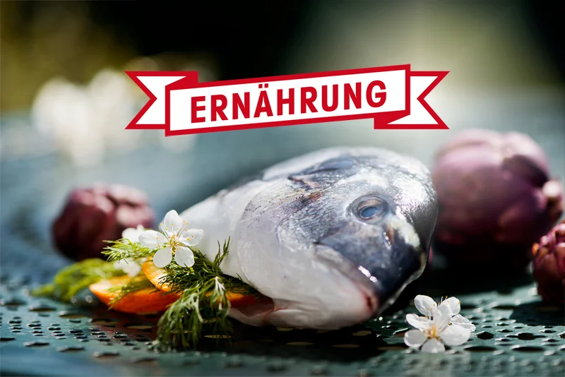 Ernaehrung.jpg