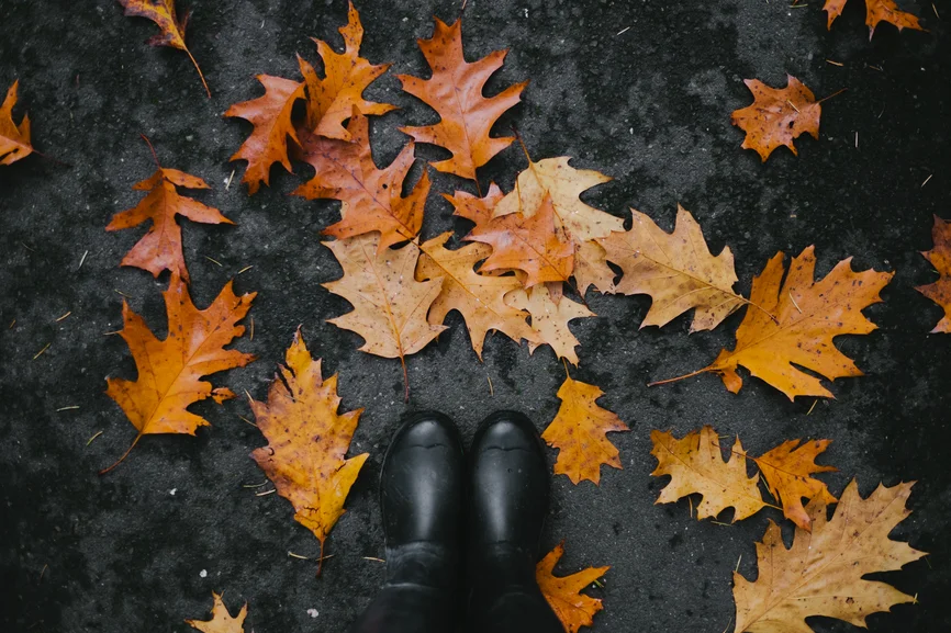 Transition Time: from Late Summer to Fall — Rebecca Katz