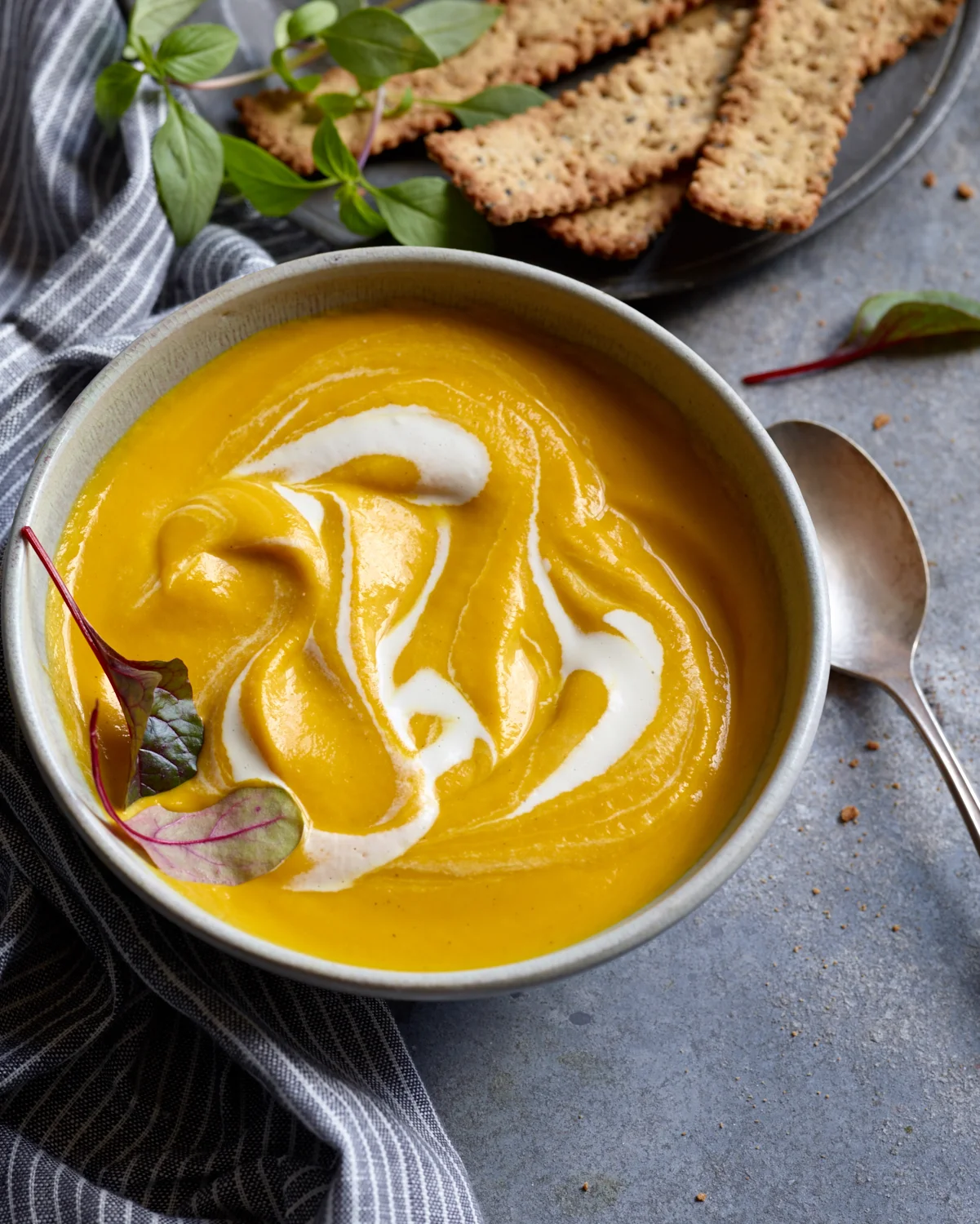 Bella’s Carrot, Orange, and Fennel Soup — Rebecca Katz