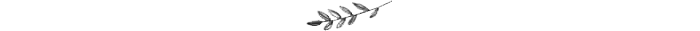 Services-Graphic.png