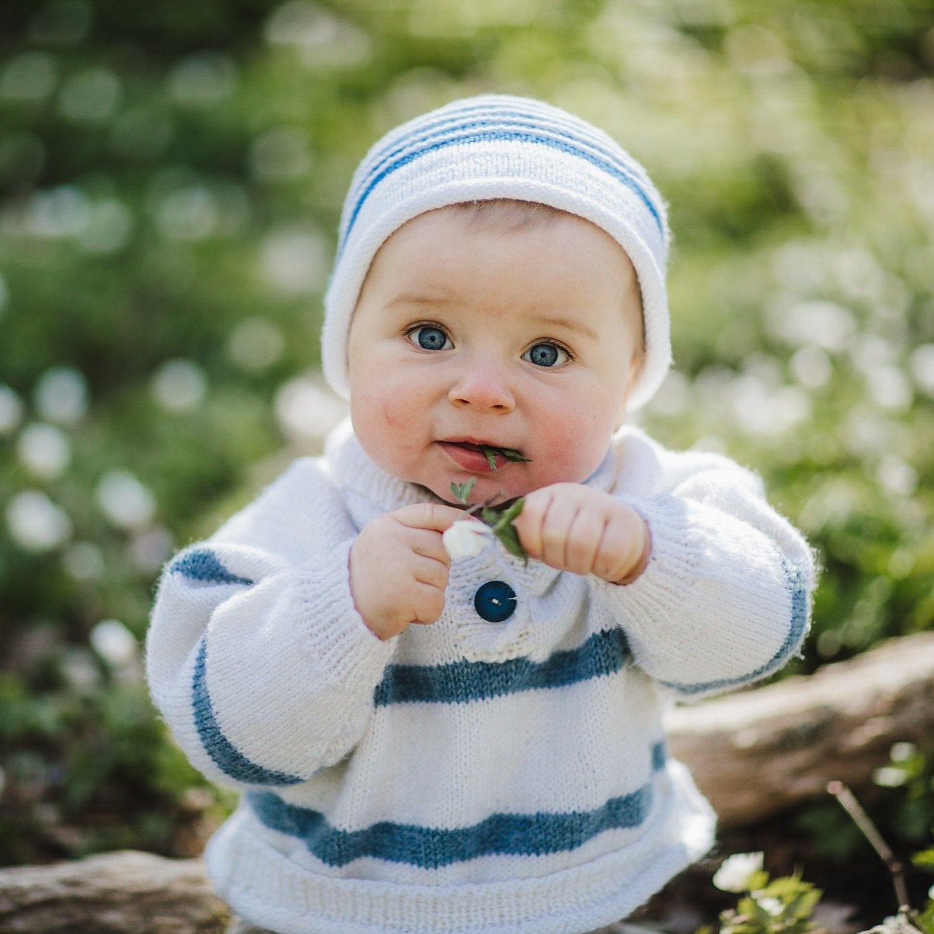 Nu &auml;r tiden f&ouml;r vitsippsfotografering h&auml;r!! 🌱🤍

I vissa backar har dom sl&aring;tt ut rej&auml;lt, p&aring; andra st&auml;llen &auml;r dom &rdquo;bara&rdquo; p&aring; g&aring;ng. 

Jag har n&aring;gra familjer inbokade, men det f&ari