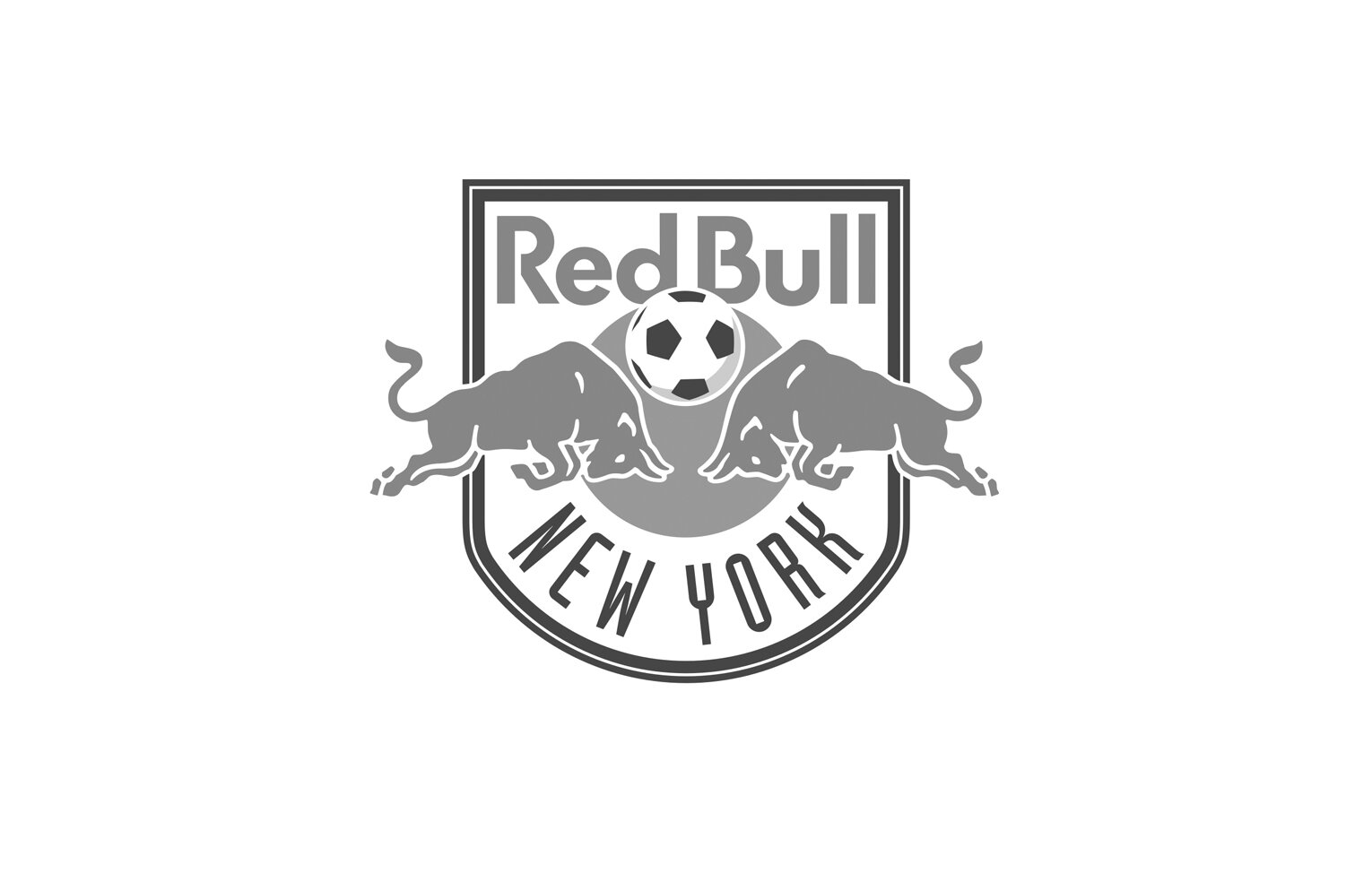 NY_RedBulls.jpg