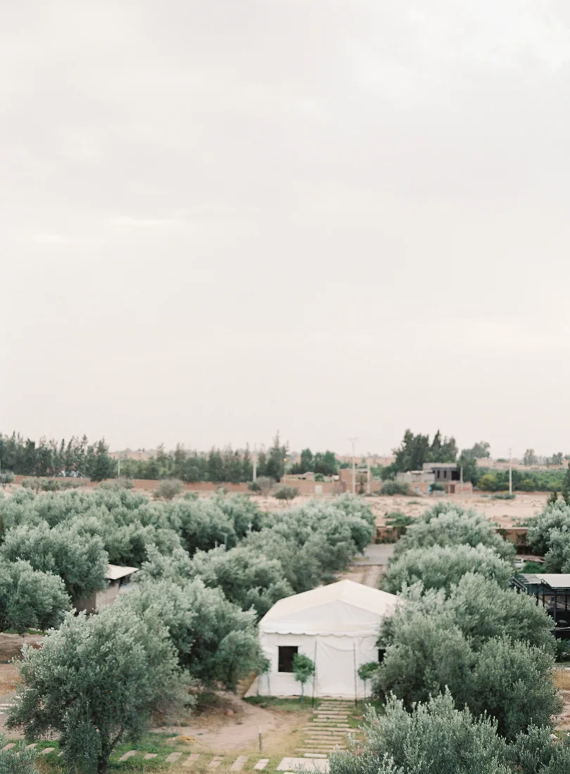 The_OMalleys_046.jpg