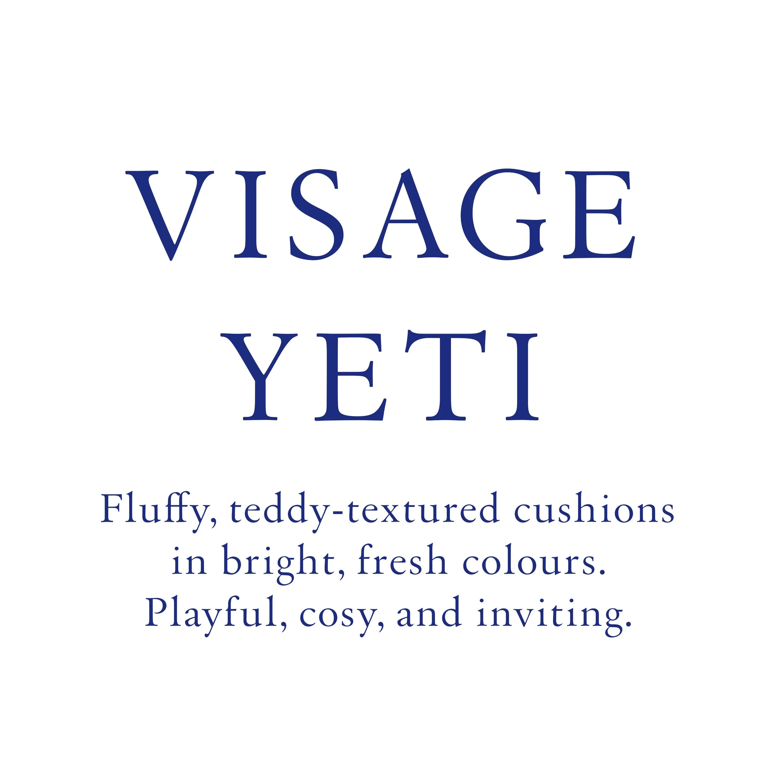 titel Visage Yeti kopie.jpg