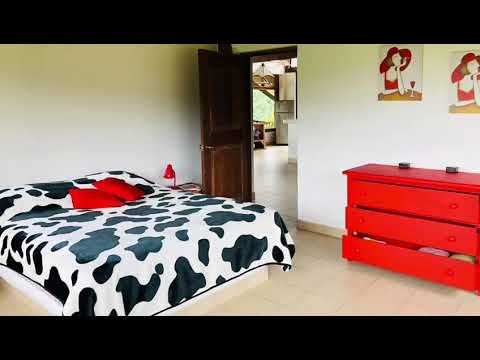 Ecollacta Video