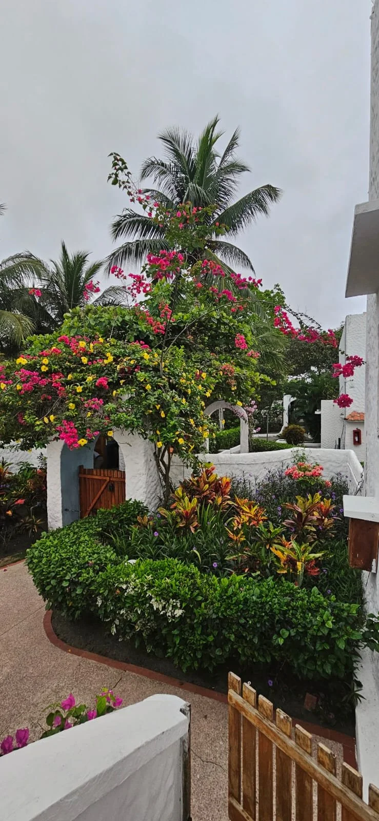 Entrada al Conjunto 3.jpeg