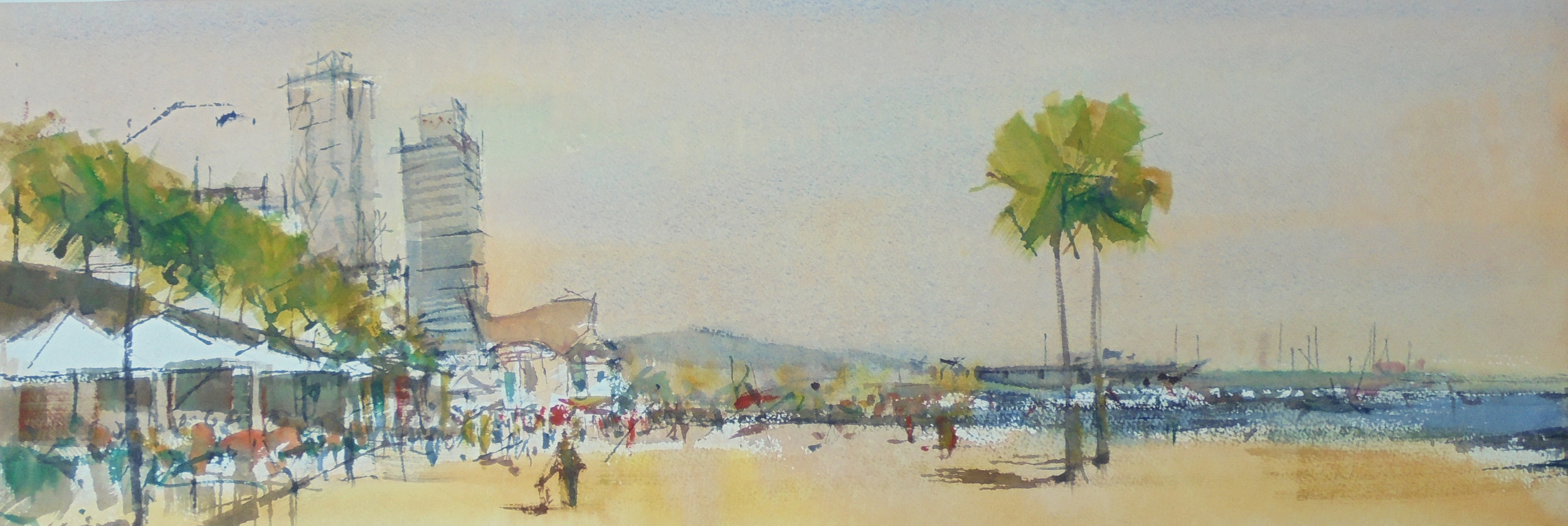 30x80cm