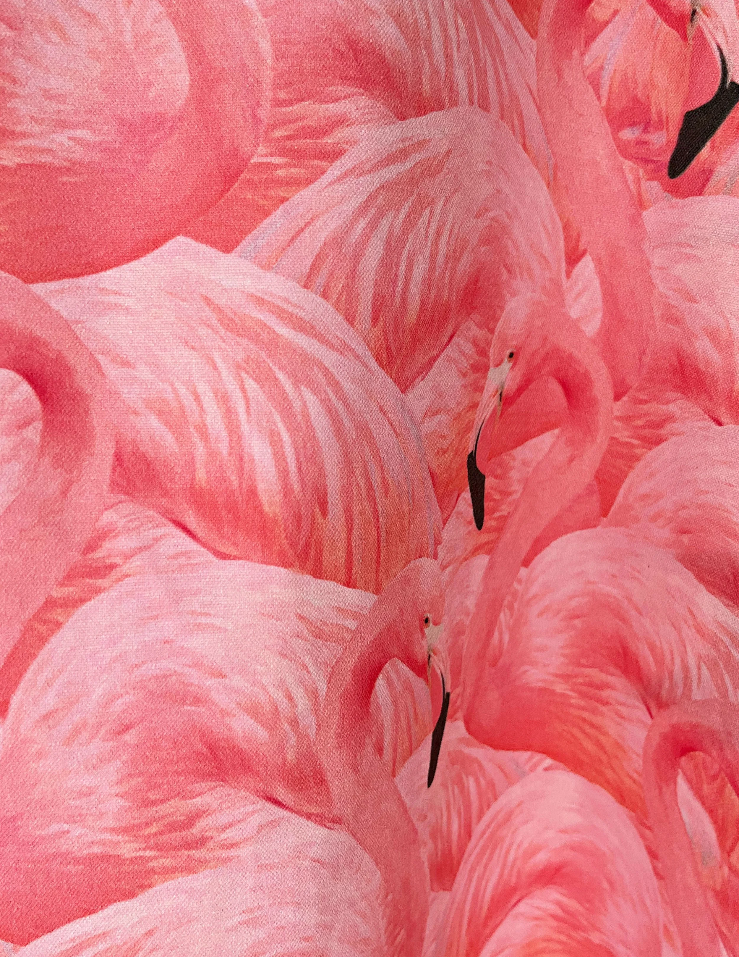 flamingo flock cape back-2.jpg