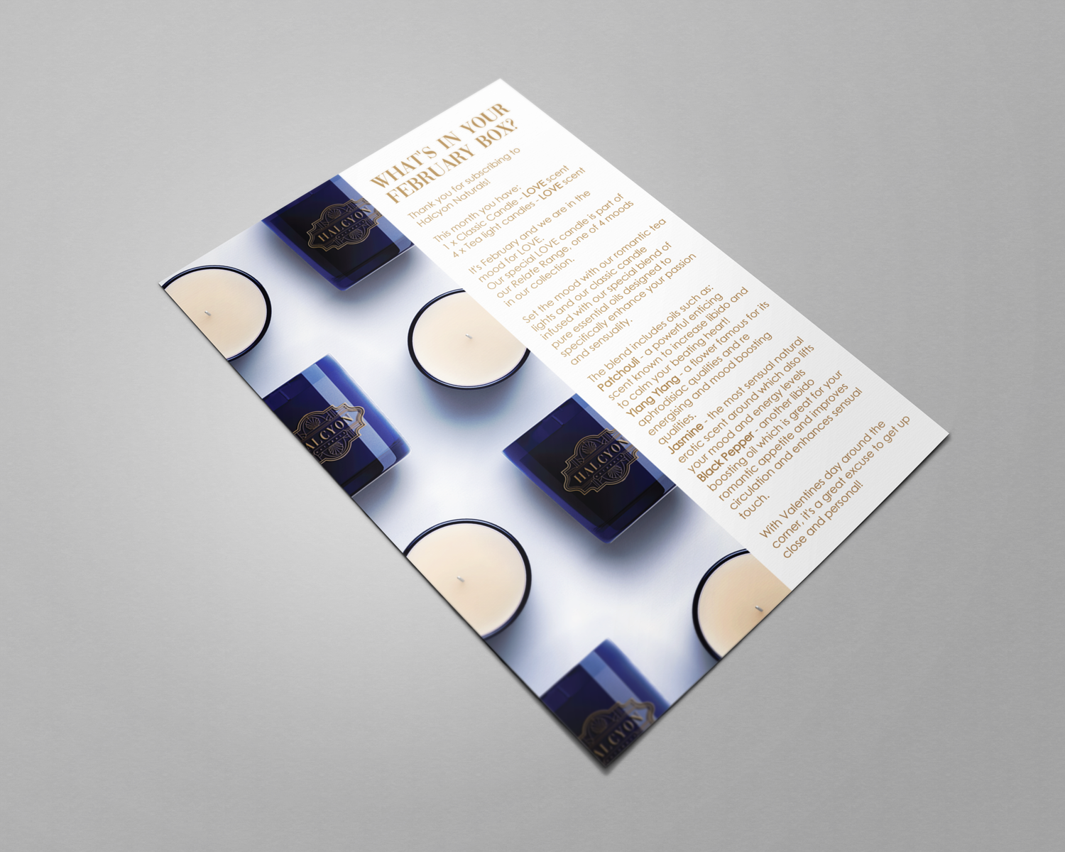 HN-Flyer-mockup.png