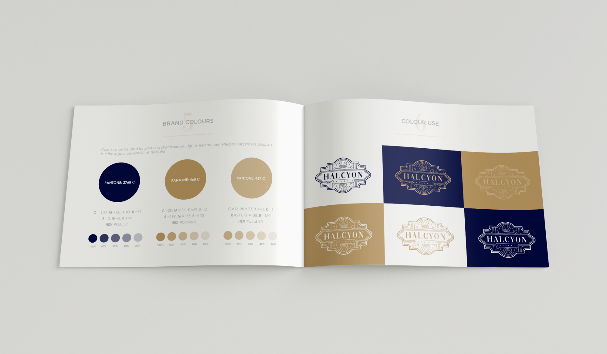 HN-Brand-book_INNER-mockup.png