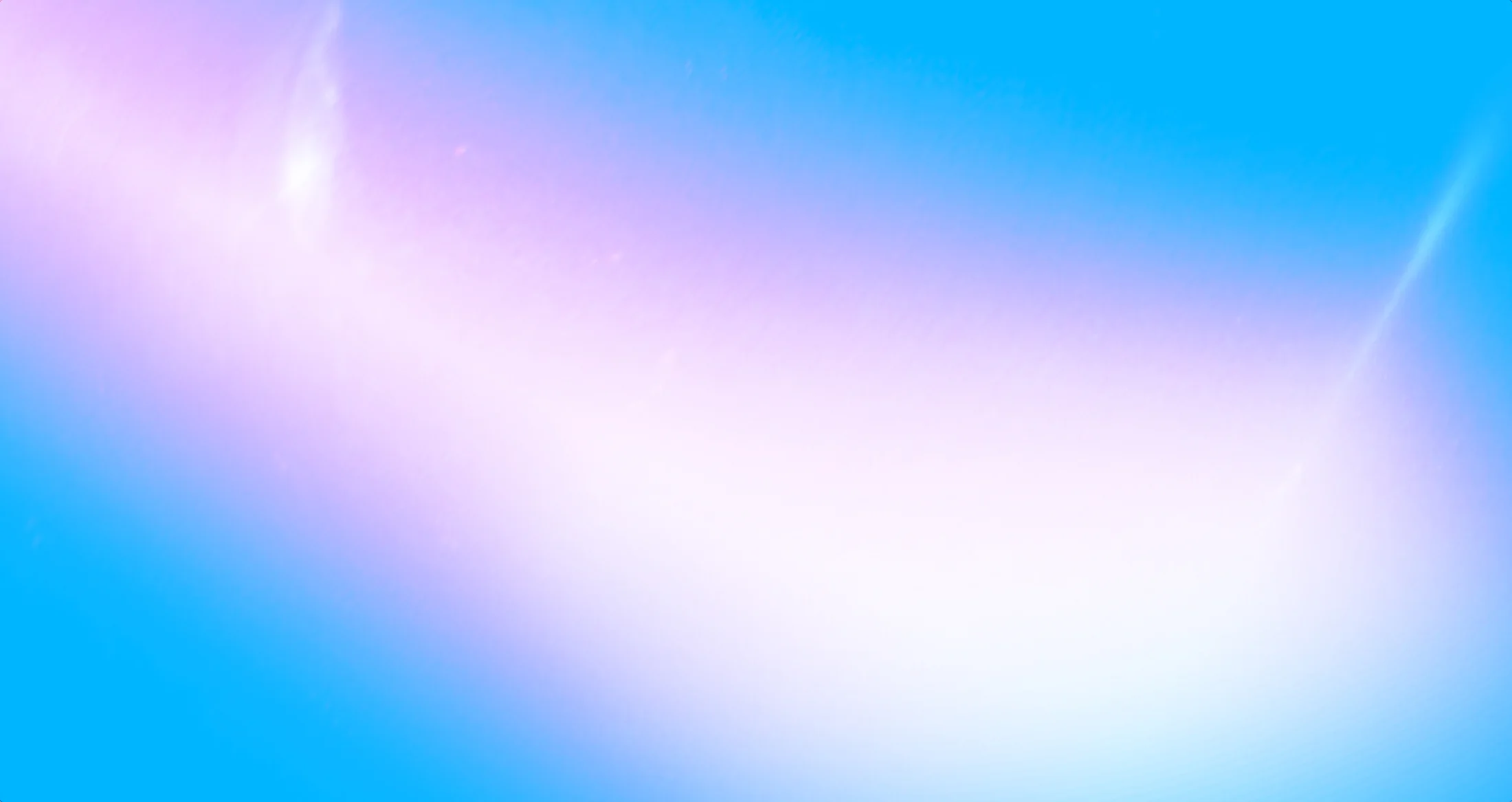 banner.jpg