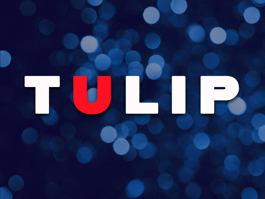 T.U.L.I.P. - Part 1: Unconditional Election