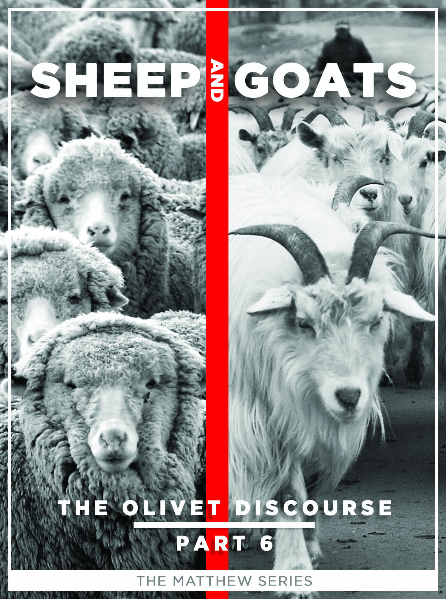 The Olivet Discourse - Part 6: Sheep and Goats
