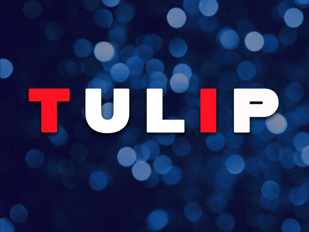 T.U.L.I.P. - Part 3: Total Depravity &amp; Irresistible Grace