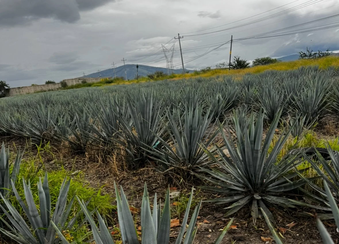 View recent photos 16.jpeg