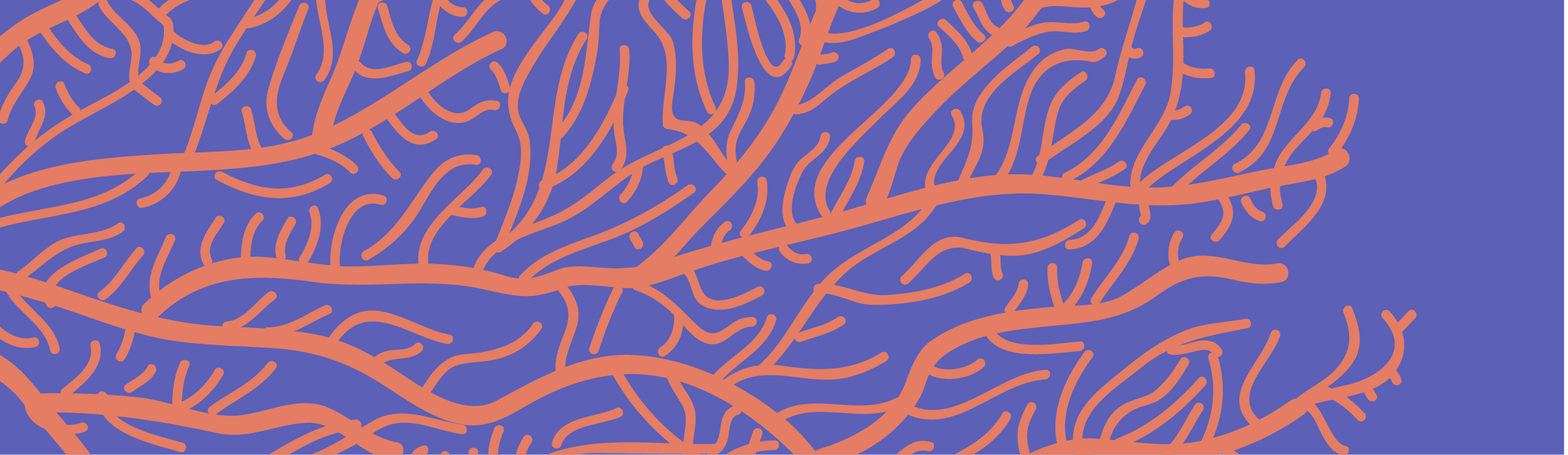 sample pattern
