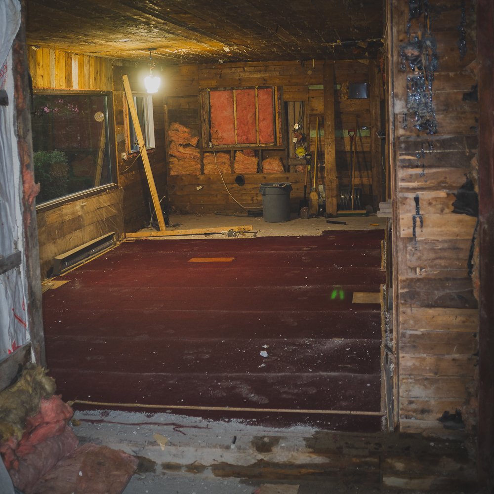 -_DSF2841-site.jpg