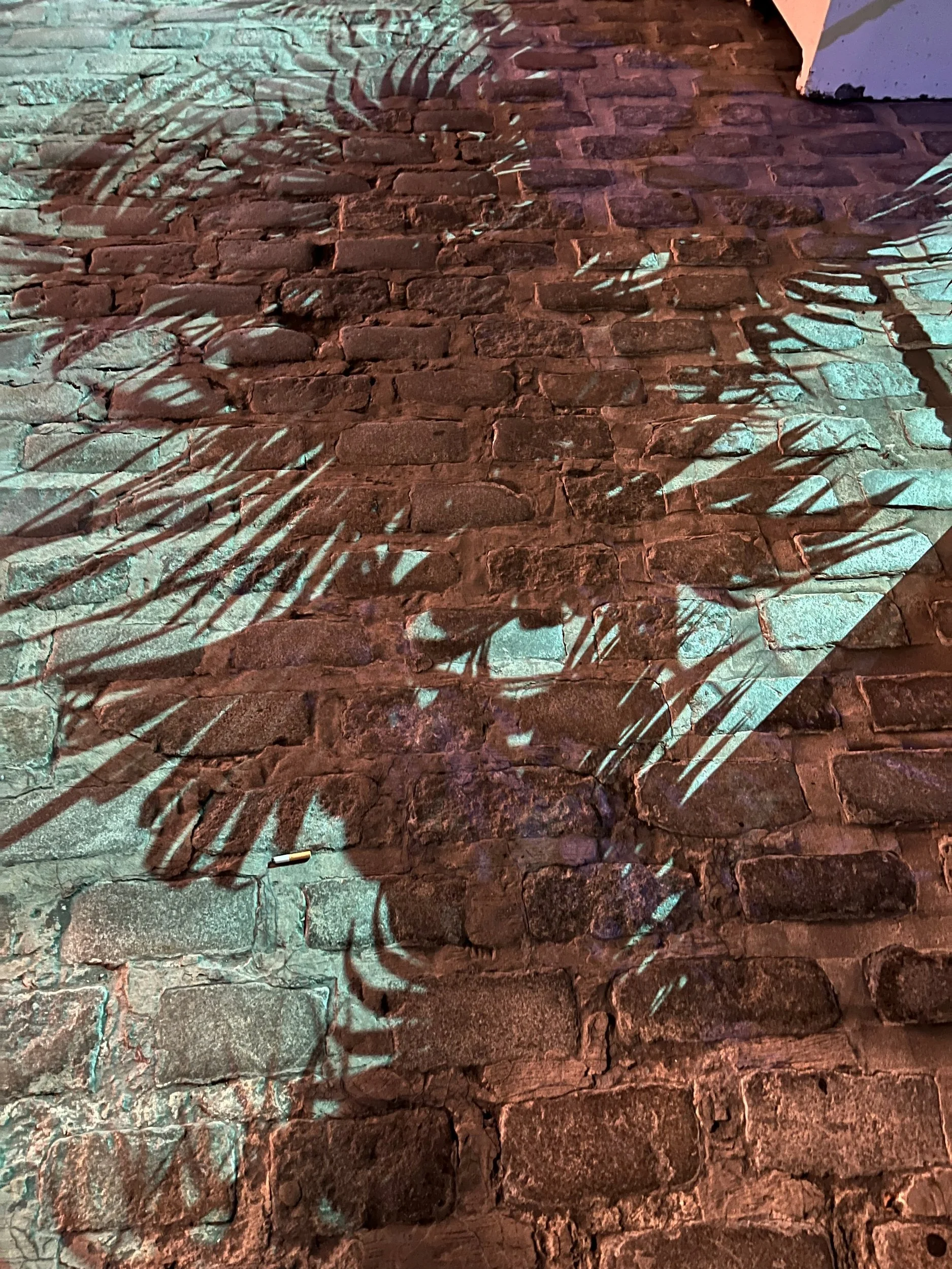 Shadow of a palm frond on a painted brick wall
