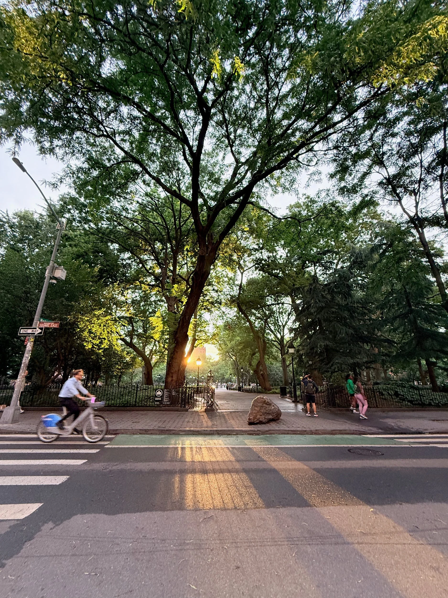 Cyclist crossing at Washington Square Park in late-day sun, New York City